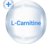 ال کارنتین